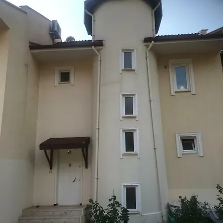 48 Pinara